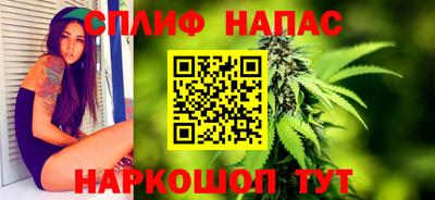 хмурый Пугачёв