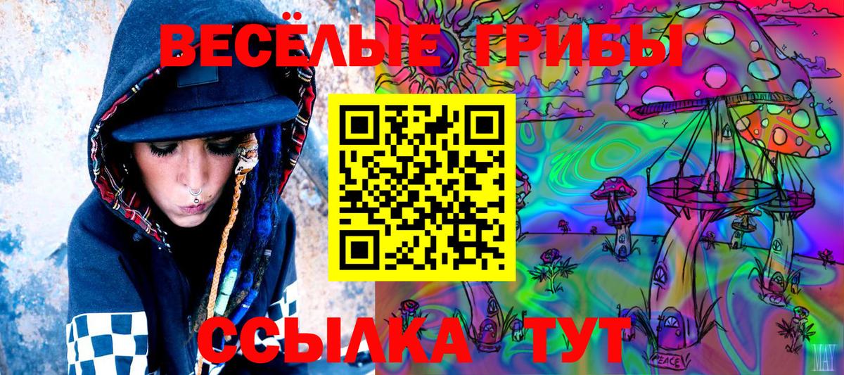 Галлюциногенные грибы Psilocybe Псков