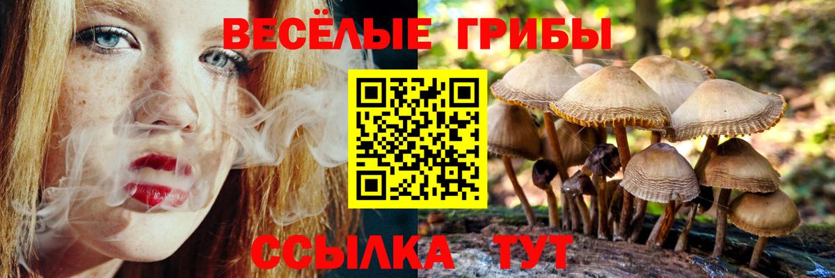 Псилоцибиновые грибы ЛСД  Псилоцибиновые грибы MAGIC MUSHROOMS  Псков  Вход с VPN 